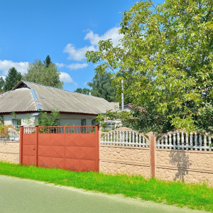 ул. Петровського, 52 (с. Дружня, Бородянский район) - Продається будинок, 27000 $ - АФНУ