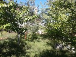 ул. Подлесная, 87 (с. Новоселовка, Новомосковский район) - Продається ділянка під забудову, 19000 $ - АФНУ