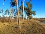 ул. Паркова (с. Камянка, Житомирский район) - Продається ділянка під забудову, 109000 $ - АФНУ
