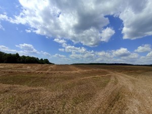 М12 (с. Червоная Зирка, Хмельницкий район) - Продається сільськогосподарська ділянка, 40000 $ - АФНУ