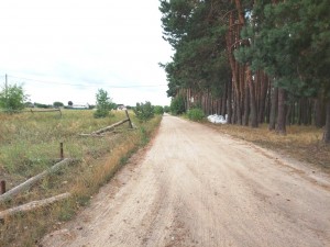 Хмільова (с. Солнечное, Житомирский район) - Продається ділянка під забудову, 7600 $ - АФНУ